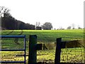 Farmland near Lower Chedworth