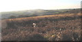 View south across waste land towards the Oerddwr valley