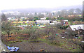 Allotments - Bradford Road