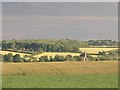 SK9843 : Ancaster Church spire from Sudbrook Heath by colin ironmonger