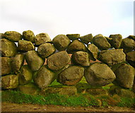 J3422 : Dry stone wall near Carrick Little by Rossographer