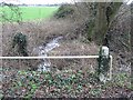 Looking E along the small brook which passes under Moorstock Lane