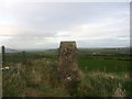 C8938 : Trig point at the top of Scudion Craig looking N.East towards the Giants Causeway by Willie Duffin
