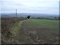 Arable land near Rushall