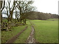 Footpath leading from minor road.