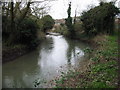 Great Stour near the Broad Oak Road