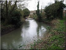 TR1559 : Great Stour near the Broad Oak Road by Nick Smith