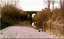 J2866 : The High Bridge, Ballyskeagh by Wilson Adams