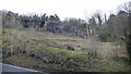 Old limestone quarry, near Pwllglas