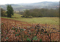 SO7537 : View across Herefordshire by Pauline E