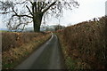 Country lane at Bank