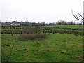 Reidstown Townland