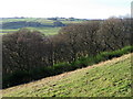 Steep pastures and woodland above the River East Allen