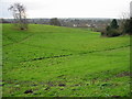 A green area near Canterbury city centre