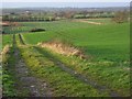 Farmland, Ashbury