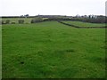 Ballynafie Townland