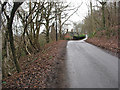 SO7637 : Country road approaching Hollybush from the north. by Pauline E