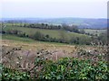 A view south-west from the Old Midford Road, near Midford and South Stoke