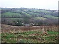 East Looe valley at Trelaske