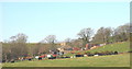 Rhyllech Uchaf Farm from the Gellidara road