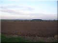 SE7359 : Farmland near Scrayingham by DS Pugh