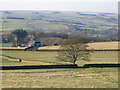 Pastures above Shieldburn Hall (2)