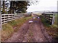 Track Leading to Hatton of Carse Farm from Forfar / Quilkoe Road