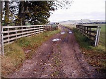 NO4652 : Track Leading to Hatton of Carse Farm from Forfar / Quilkoe Road by Alan Morrison