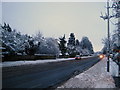 Snow in Belfast [6]