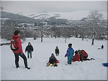 NT4936 : Sledging on Galashiels Golf Course by Walter Baxter