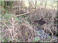 Footbridge over a branch of Edingley Beck