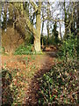 Footpath from Waldershare to Eythorne