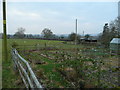 Gardens and pasture