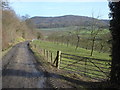 Track to Netherton Farm