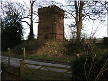 SJ4461 : Water Tower in Saighton, near Chester by BrianPritchard