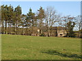 Fields and woodland near Pasture House