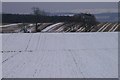 Wintry fields at New Alyth