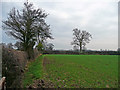 Open fields near Hole Farm