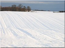 NT6226 : Snow on Ancrum Moor by Richard Webb