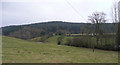 View east to Shelve Hill Woods