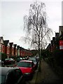 Looking up Uplands Road