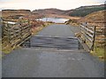 Cattle grid on the road to Claigan