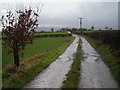 Farmtrack from Windy Mundy Farm to Windy Mundy Cottages.