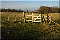 The Gloucestershire Way near the Air Balloon