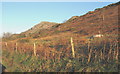 Bracken infested marginal land on the lower slopes of Mynydd Nefyn