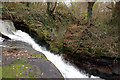 Old Weir on River Darwen