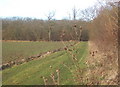 Path towards Bonny Wood near Barking, Suffolk