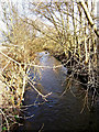 River Stour near Wilden Pool