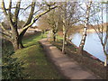 Path beside Needham Lake