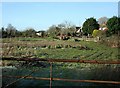 2008 : Field  at Little Marsh